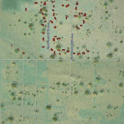 Close-up of the map of Dollars Corner, Washington print showing street and building detail