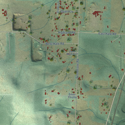 Close-up of the map of Evaline, Washington print showing street and building detail