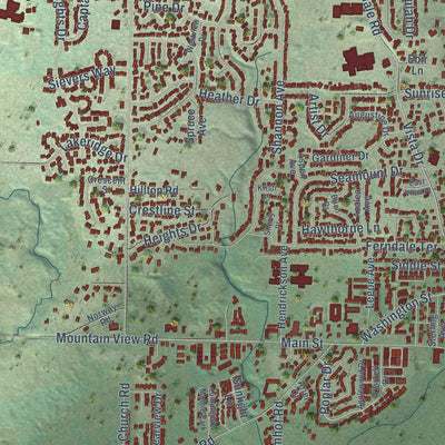 Close-up of the map of Ferndale, Washington print showing street and building detail