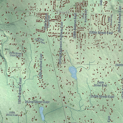 Second close-up of the map of Graham, Washington print showing more streets and buildings