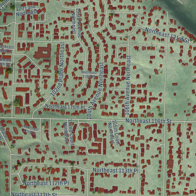 Close-up of the map of Juanita, Washington print showing street and building detail