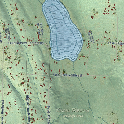 Close-up of the map of Lake Cassidy, Washington print showing street and building detail