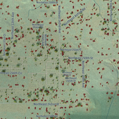 Close-up of the map of Lewisville, Washington print showing street and building detail