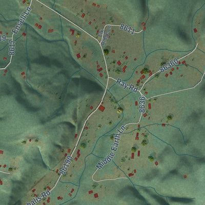 Close-up of the map of Malone, Washington print showing street and building detail