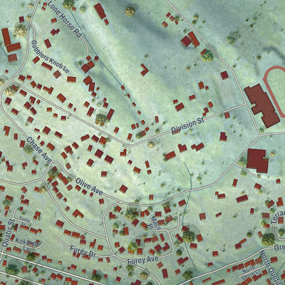 Close-up of the map of Manson, Washington print showing street and building detail