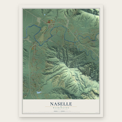 Naselle, Washington map print, the full design