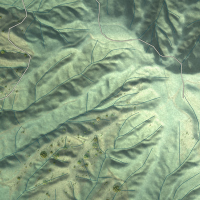Close-up of the map of Naselle, Washington print showing street and building detail