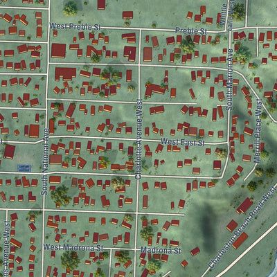 Close-up of the map of Navy Yard City, Washington print showing street and building detail