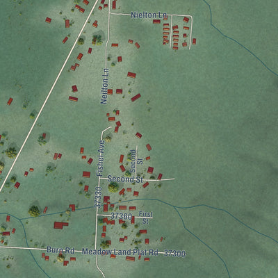 Close-up of the map of Neilton, Washington print showing street and building detail