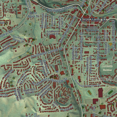 Close-up of the map of Pullman, Washington print showing street and building detail