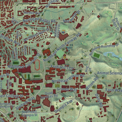 Second close-up of the map of Pullman, Washington print showing more streets and buildings
