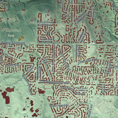 Close-up of the map of Puyallup, Washington print showing street and building detail