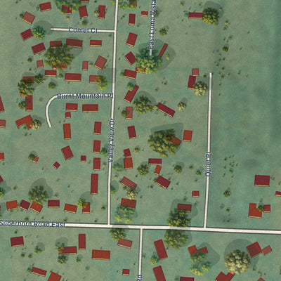 Close-up of the map of River Road, Washington print showing street and building detail