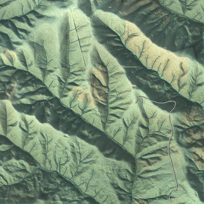 Close-up of the map of Rose Valley, Washington print showing street and building detail