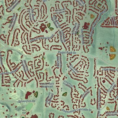 Close-up of the map of Silver Firs, Washington print showing street and building detail