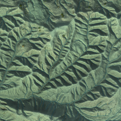 Close-up of the map of Skamokawa Valley, Washington print showing street and building detail