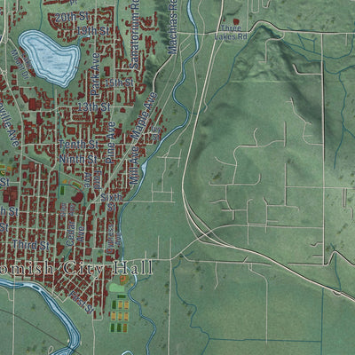 Close-up of the map of Snohomish, Washington print showing street and building detail