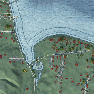 Close-up of the map of Southworth, Washington print showing street and building detail