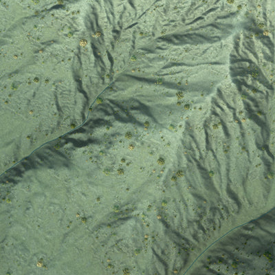 Close-up of the map of Stehekin, Washington print showing street and building detail