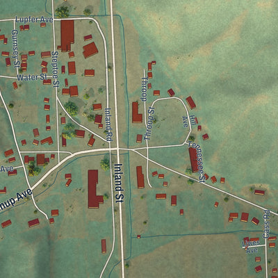 Close-up of the map of Steptoe, Washington print showing street and building detail
