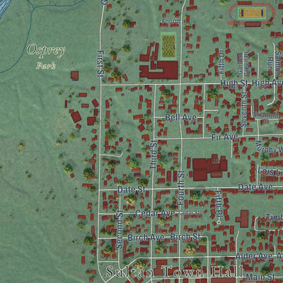 Close-up of the map of Sultan, Washington print showing street and building detail