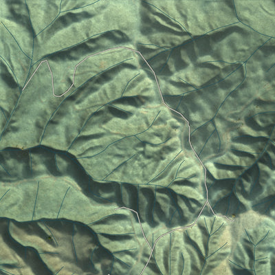 Close-up of the map of Upper Elochoman, Washington print showing street and building detail