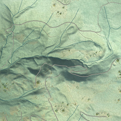 Close-up of the map of Venersborg, Washington print showing street and building detail