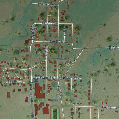 Close-up of the map of White Swan, Washington print showing street and building detail