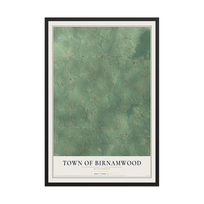 Map of the Town of Birnamwood, Wisconsin, 12 x 18 inch print in a black wood frame