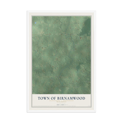 Map of the Town of Birnamwood, Wisconsin, 12 x 18 inch print in a white wood frame