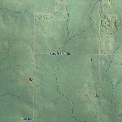Close-up of the map of Butler, Clark County, Wisconsin print showing street and building detail