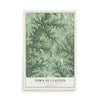 Map of the Town of Clayton, Crawford County, Wisconsin, 12 x 18 inch unframed archival matte print