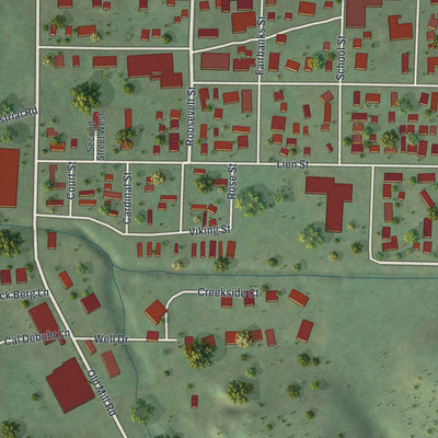 Close-up of the map of Coon Valley, Wisconsin print showing street and building detail