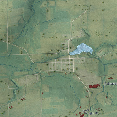 Close-up of the map of Courtland, Wisconsin print showing street and building detail