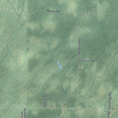 Close-up of the map of Dairyland, Wisconsin print showing street and building detail