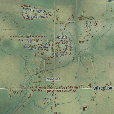 Close-up of the map of Dale, Wisconsin print showing street and building detail