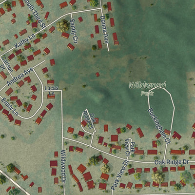 Second close-up of the map of Darien, Wisconsin print showing more streets and buildings