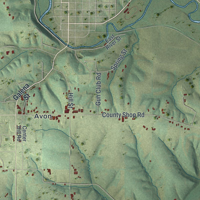 Close-up of the map of the Town of Darlington, Wisconsin print showing street and building detail