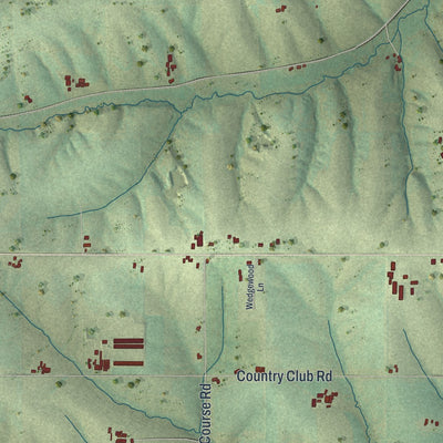 Second close-up of the map of the Town of Darlington, Wisconsin print showing more streets and buildings