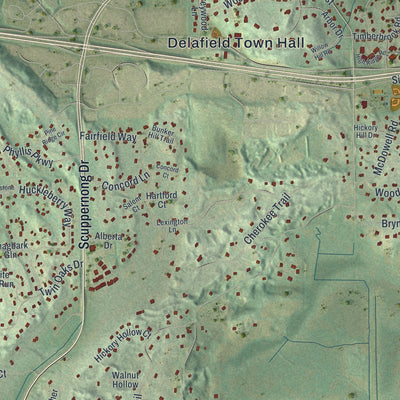 Close-up of the map of the Town of Delafield, Wisconsin print showing street and building detail