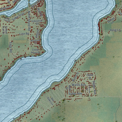 Close-up of the map of the Town of Delavan, Wisconsin print showing street and building detail