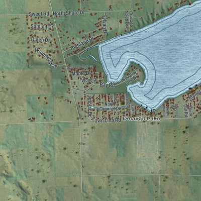 Second close-up of the map of the Town of Delavan, Wisconsin print showing more streets and buildings