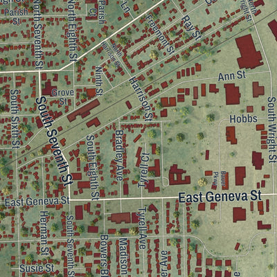 Close-up of the map of Delavan, Wisconsin print showing street and building detail