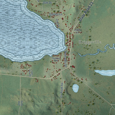 Close-up of the map of Douglas, Wisconsin print showing street and building detail