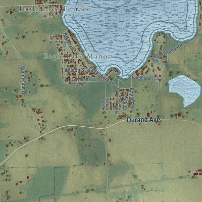 Close-up of the map of Dover, Racine County, Wisconsin print showing street and building detail