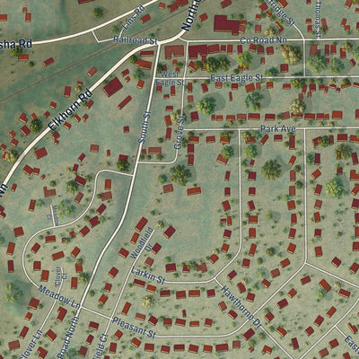Close-up of the map of Eagle, Wisconsin print showing street and building detail