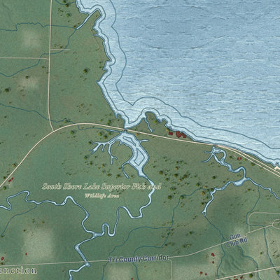 Close-up of the map of Eileen, Wisconsin print showing street and building detail
