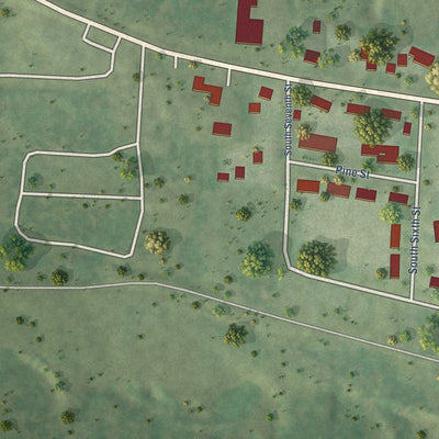 Second close-up of the map of Eleva, Wisconsin print showing more streets and buildings