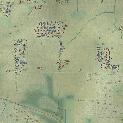 Close-up of the map of Ellington, Wisconsin print showing street and building detail