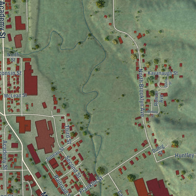 Second close-up of the map of Elroy, Wisconsin print showing more streets and buildings